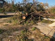 005-Looking across Bay St